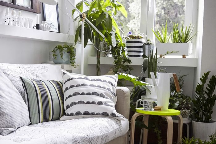 How to decorate living room corner with plants